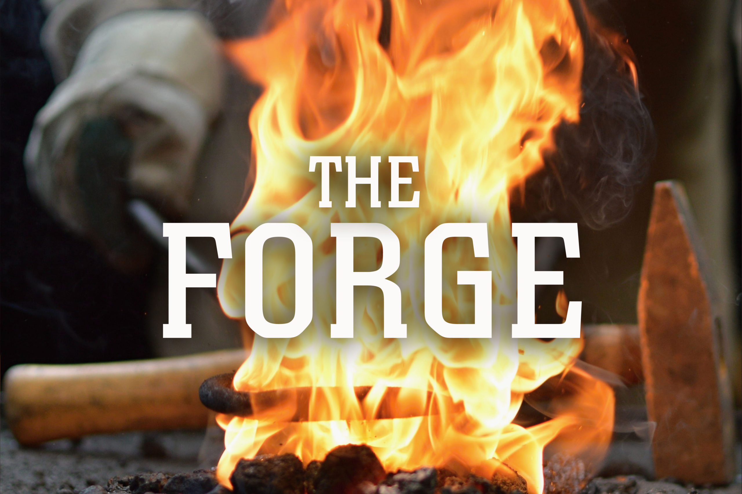 the-forge-image copy
