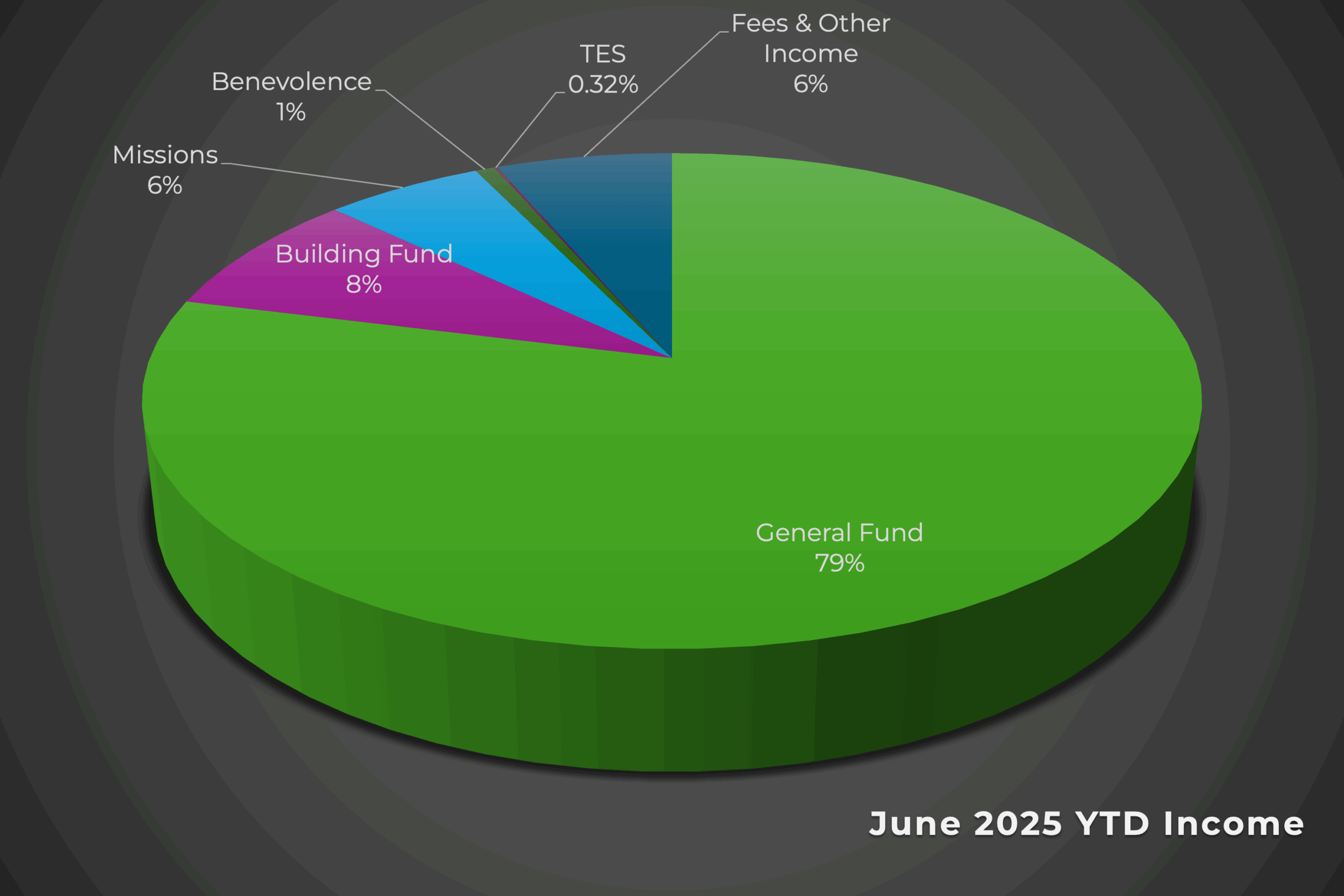 2025 Income Pie Chart